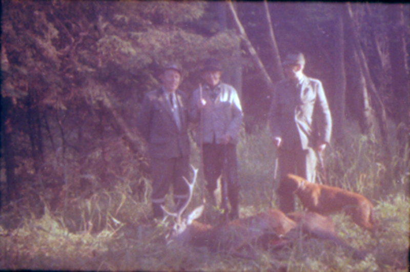Three Men with Deer During Hunting Trip in the Balkans Harry S. Truman