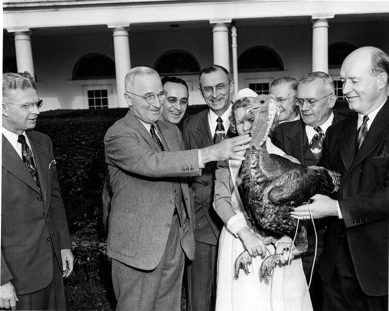 Truman Pets Turkey Harry S. Truman
