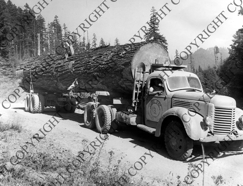 Coos Bay truck transporting log Harry S. Truman