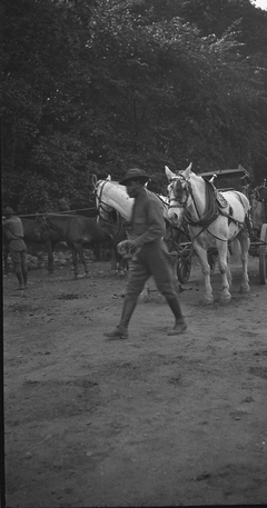 2008-1894 (untitled)