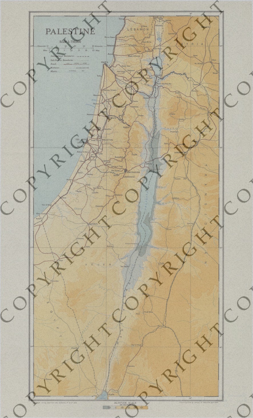 M700.jpg Map of Palestine