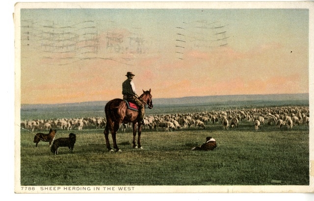 Postcard from Harry S. Truman to Bess Wallace