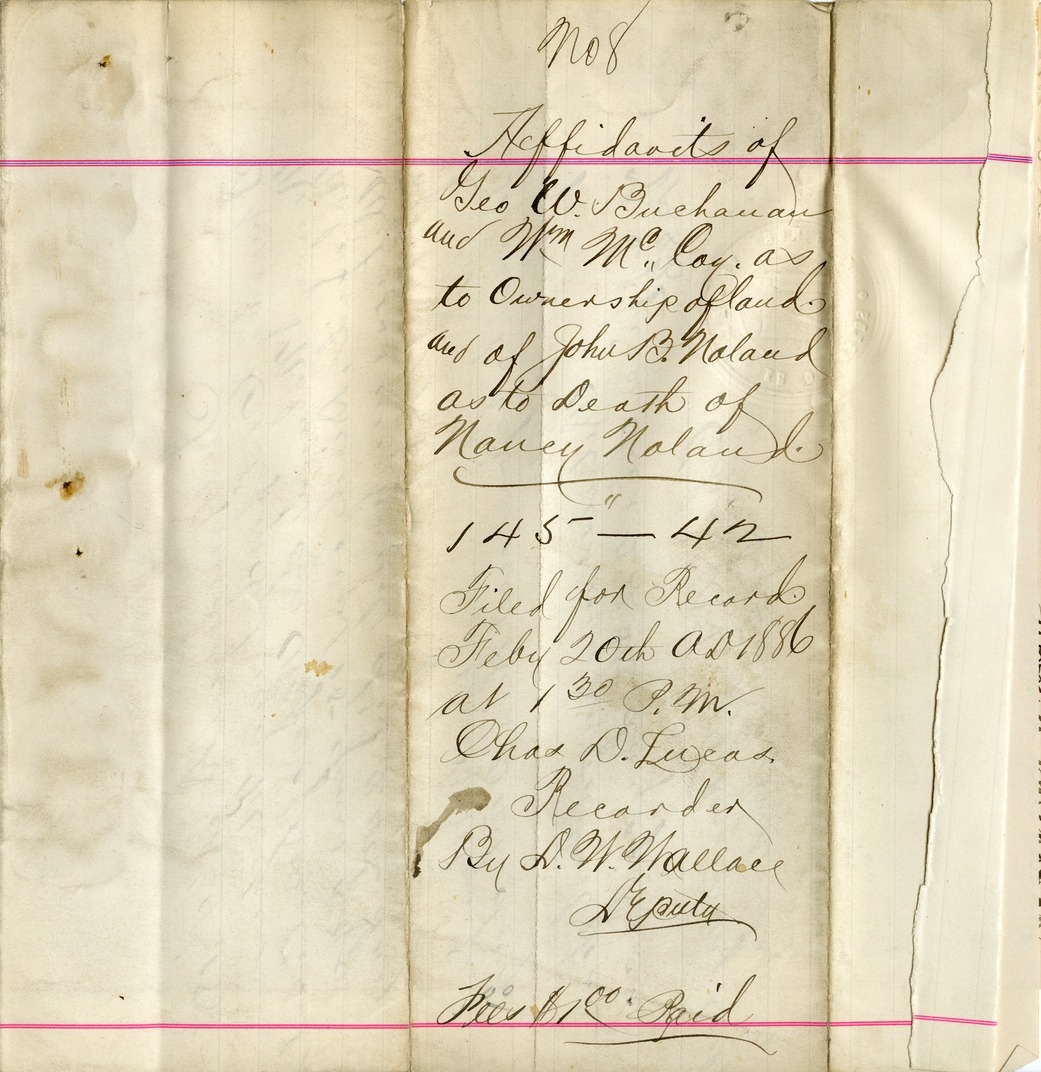 Affidavits of George W. Buchanan and William McCoy