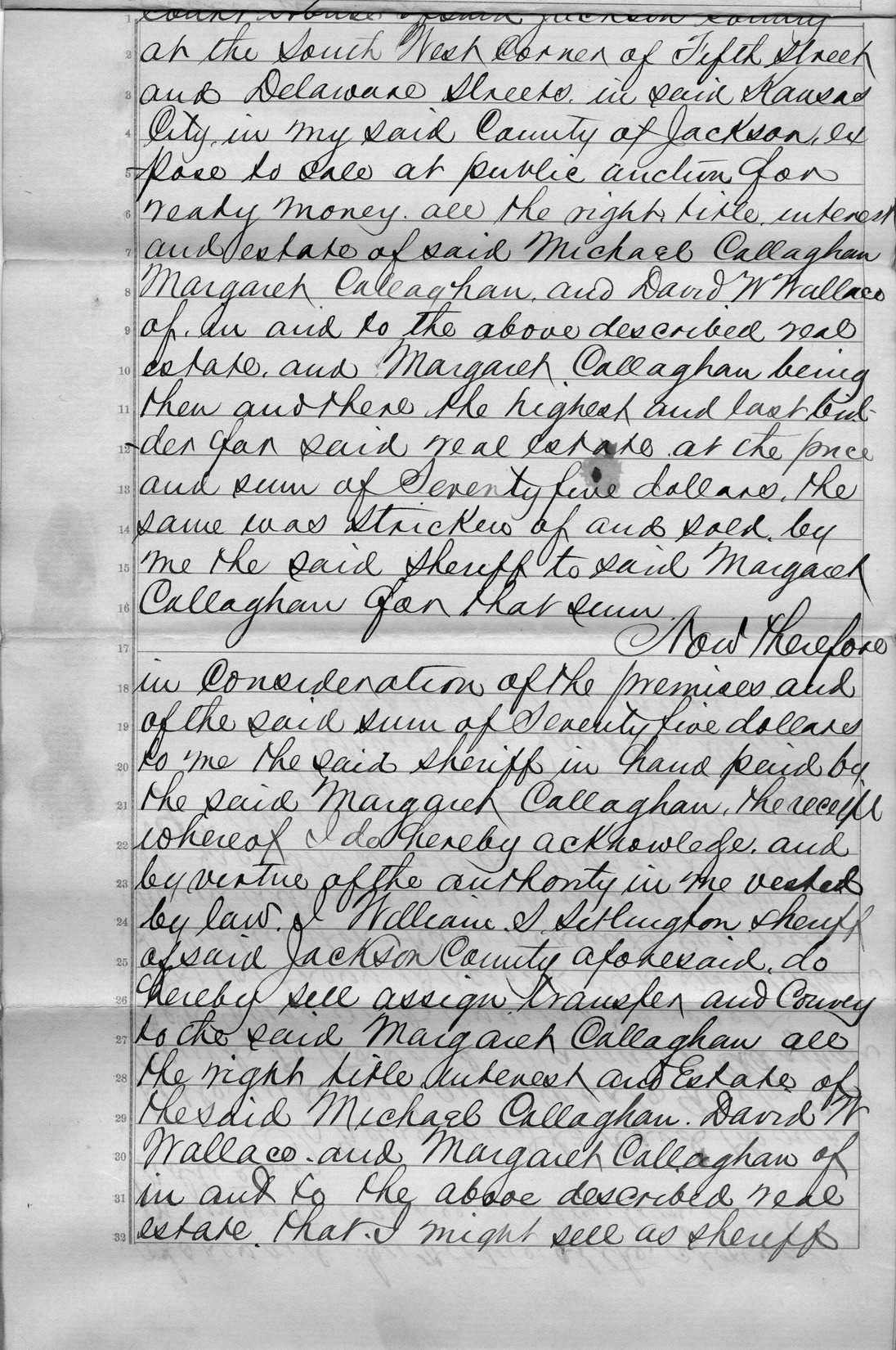 Sheriff's Deed from Michael and Margaret Callahan and David W. Wallace to Margaret Callahan