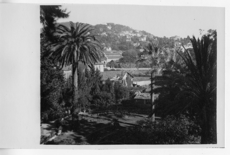 View of Buildings and Palm Trees Harry S. Truman