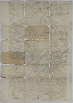 Map of Allied Movement and Positions